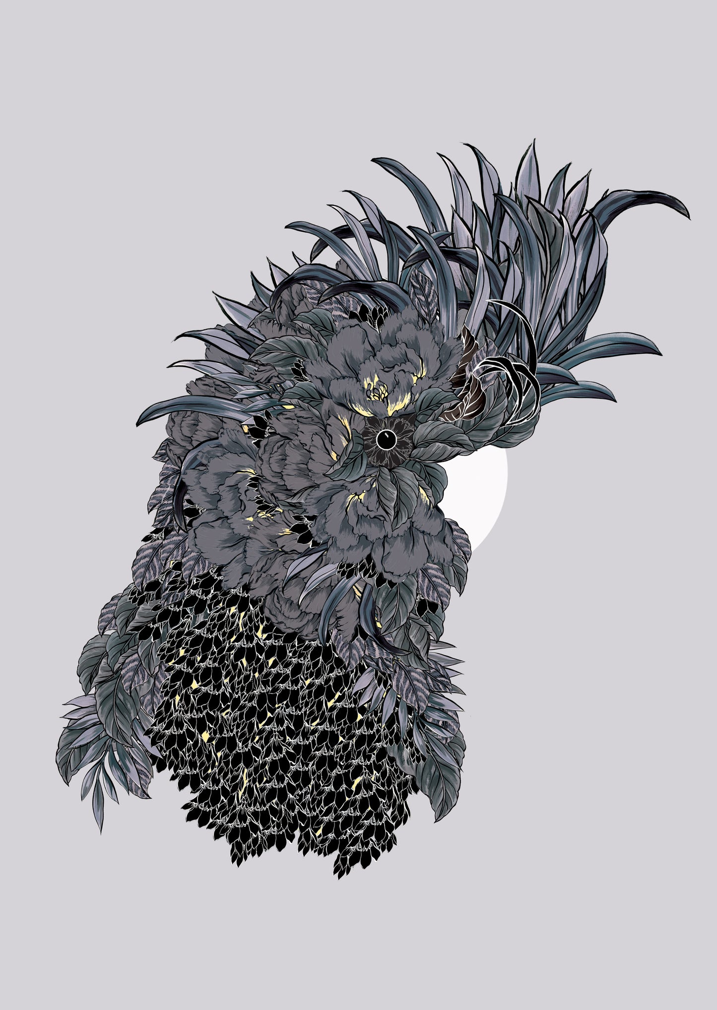 Black Cockatoo