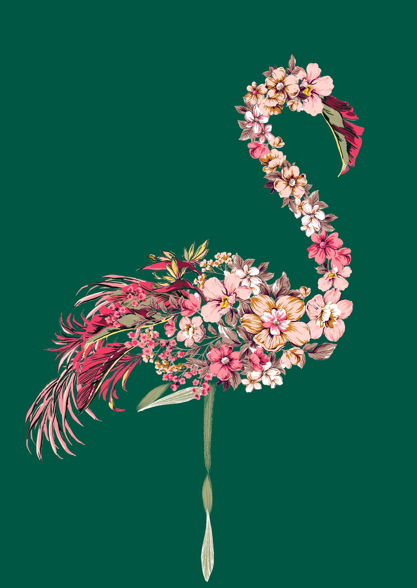 Flamingo