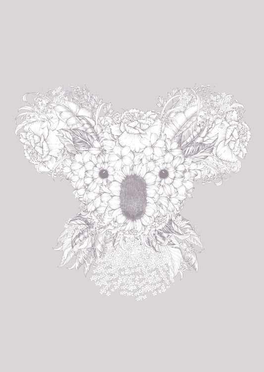 Koala grey