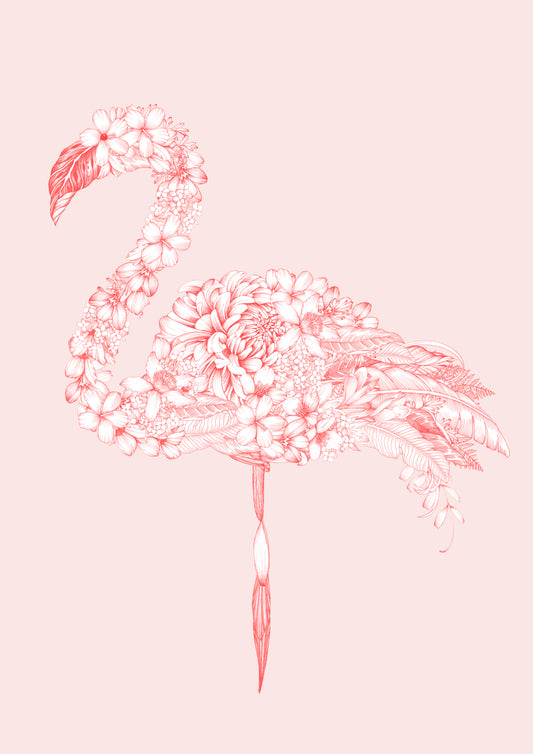 Flamingo Blush